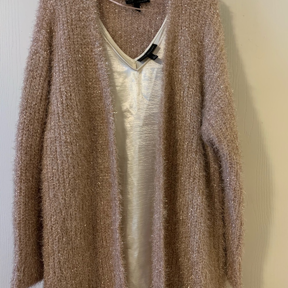 Lane Bryant Rose Gold Holiday Sweater and Cream Satin Tank Top